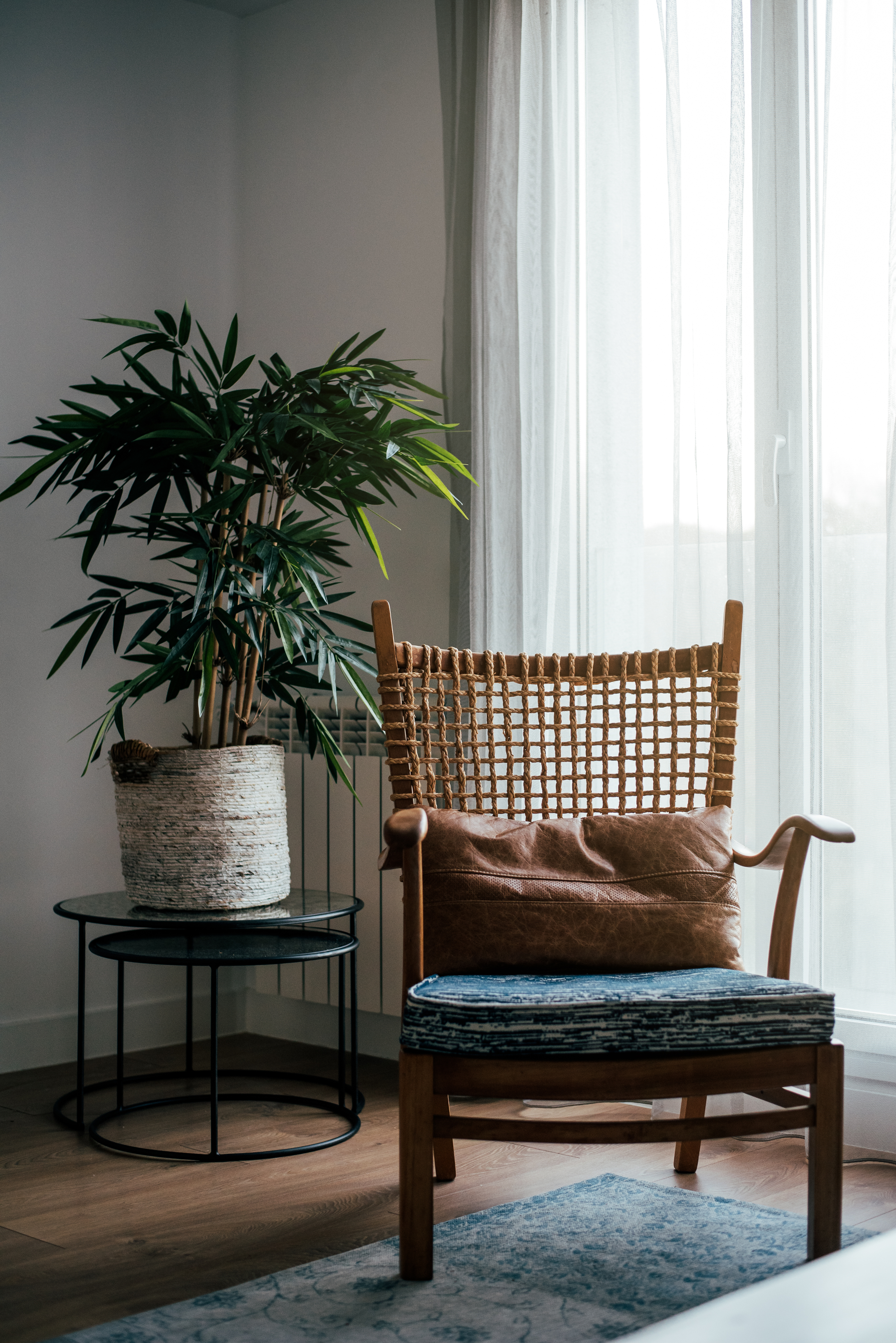Chair and plant representing design inspiration